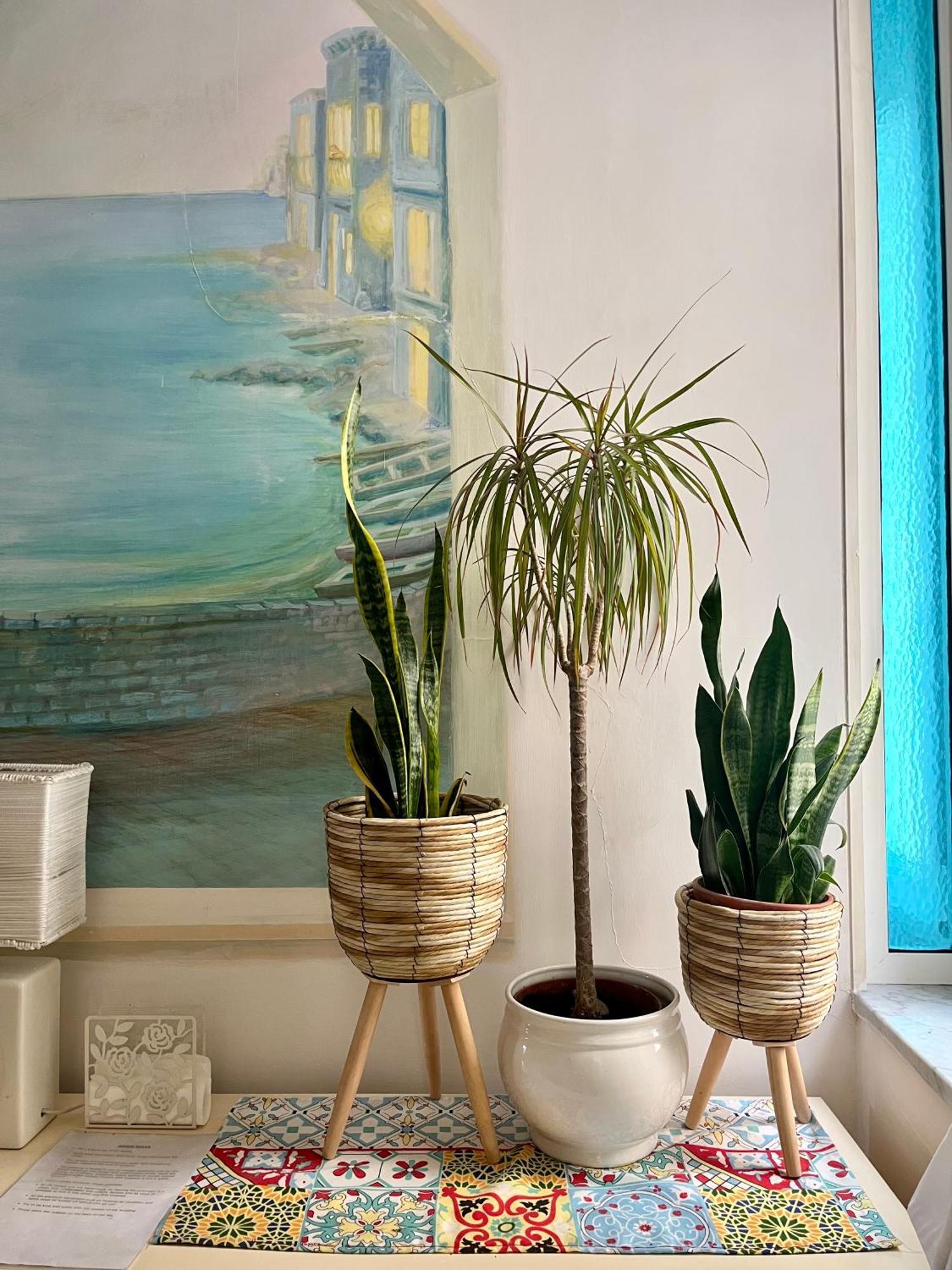 Casa Vacanze Seahorse Salernes Extérieur photo